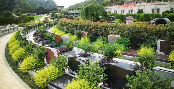 美高梅集团4688am(唯一)有限公司官网