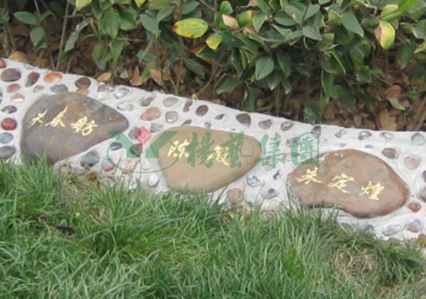 美高梅集团4688am(唯一)有限公司官网