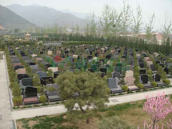 美高梅集团4688am(唯一)有限公司官网