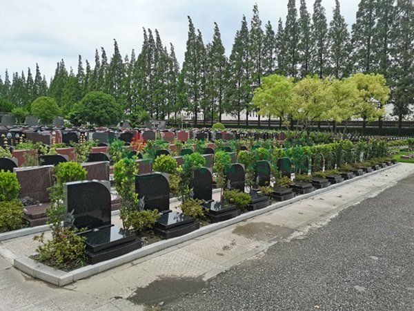 美高梅集团4688am(唯一)有限公司官网