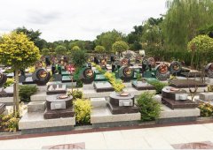 上海；；；；；；；懔靶腔鹎