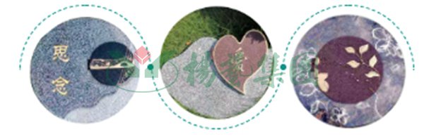 美高梅集团4688am(唯一)有限公司官网