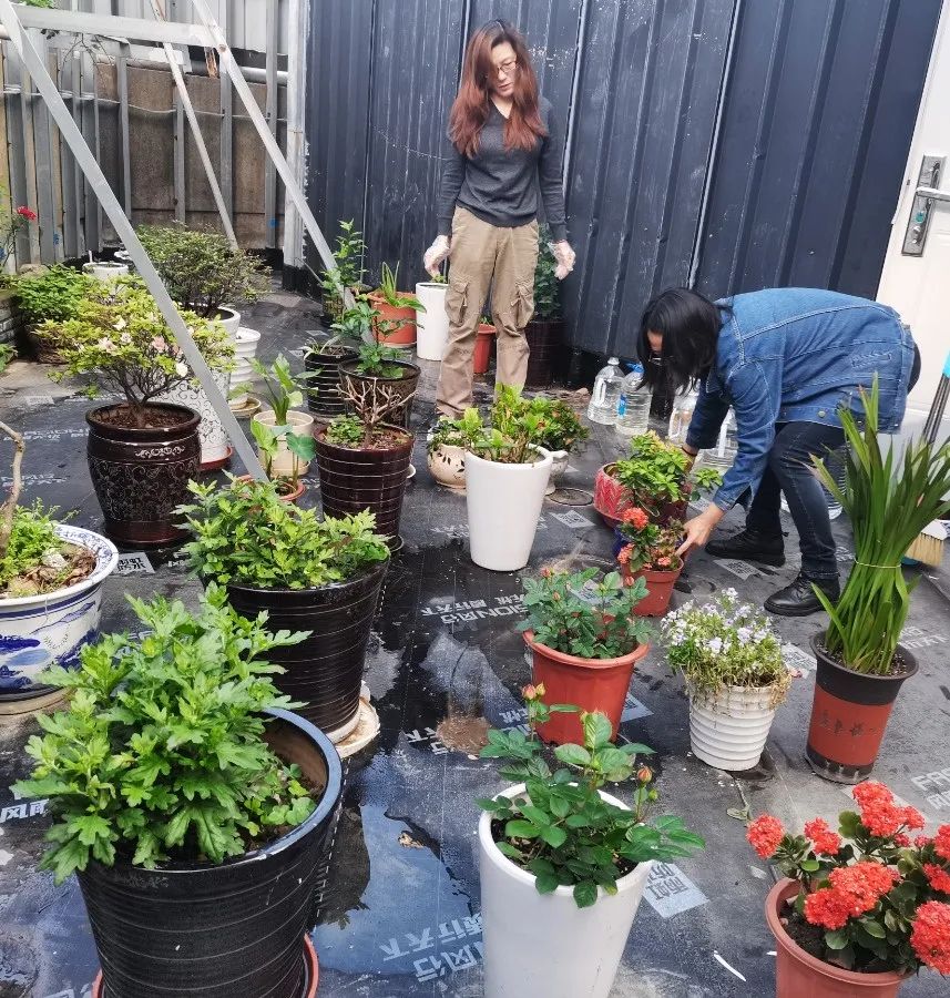 美高梅集团4688am(唯一)有限公司官网