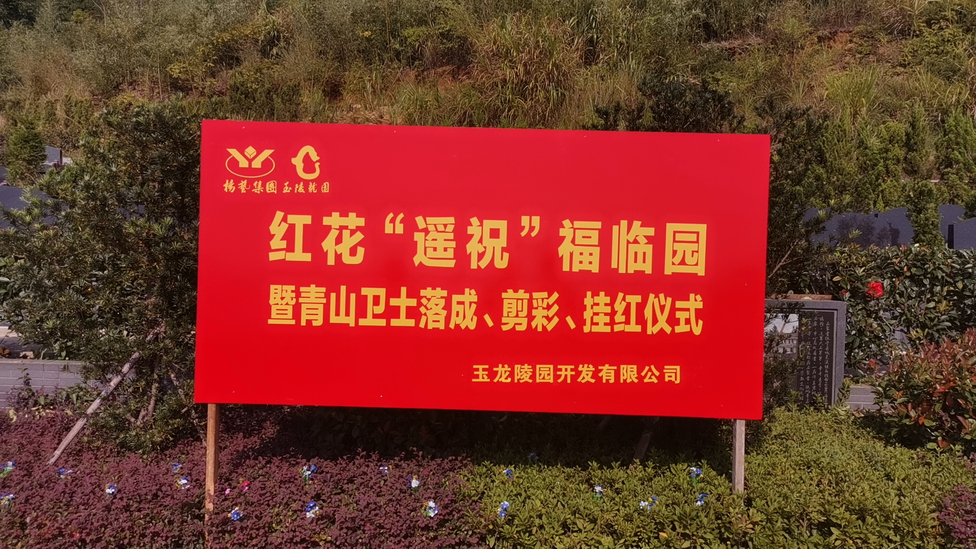 红花传爱意，，，，，情满玉龙园！