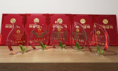 “美高梅集团4688am杯”浙江省节地生态埋葬设计作品奖