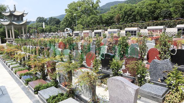 美高梅集团4688am(唯一)有限公司官网