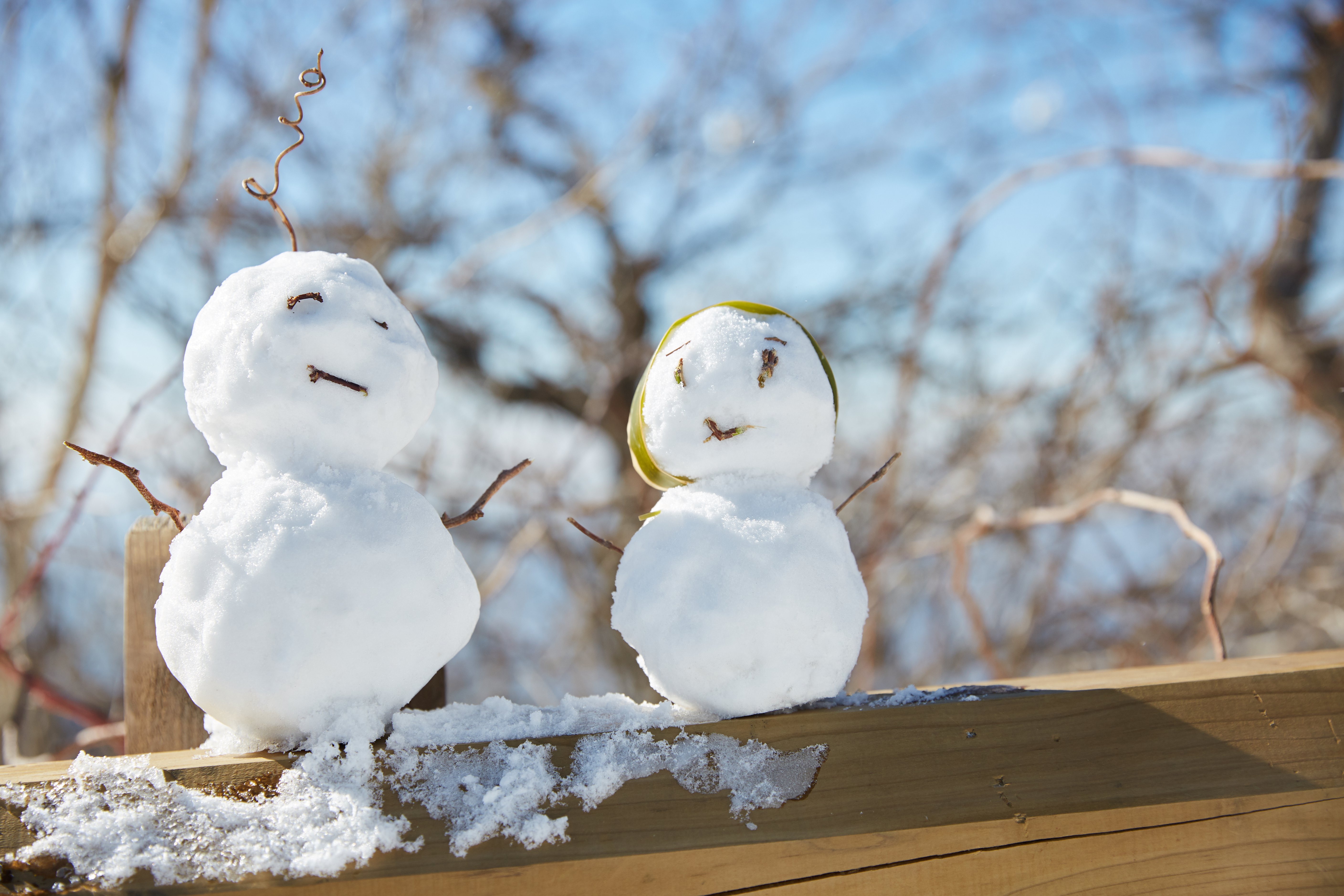 冬至，，，暖“杨”相伴 | 美高梅集团4688am人全力配合各墓园冬至落葬
