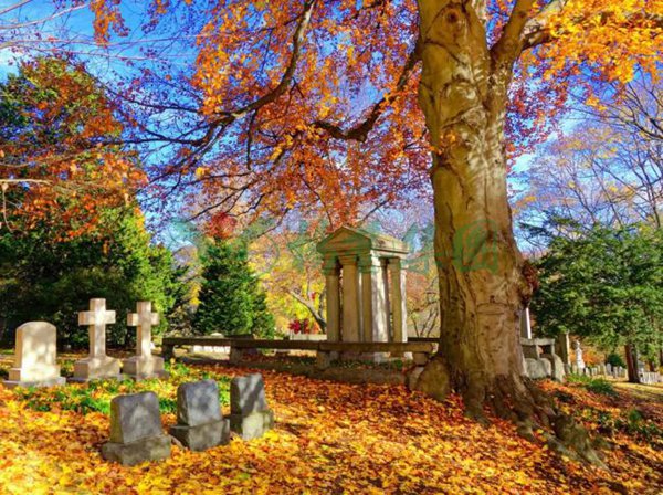 美高梅集团4688am(唯一)有限公司官网