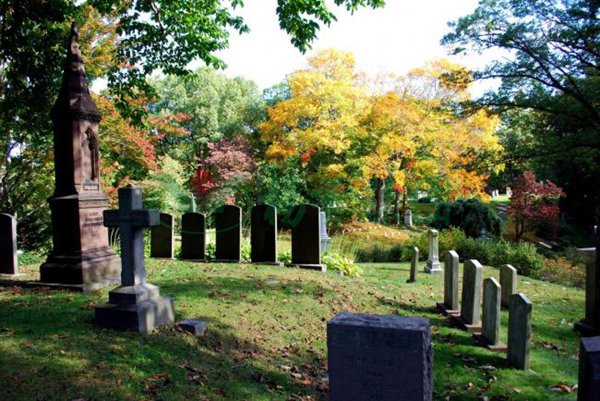 美高梅集团4688am(唯一)有限公司官网