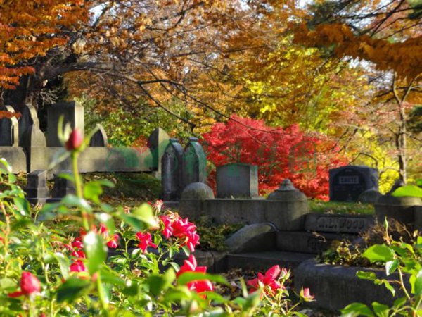 美高梅集团4688am(唯一)有限公司官网