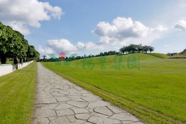 美高梅集团4688am(唯一)有限公司官网