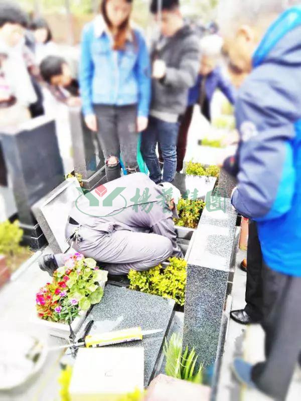 美高梅集团4688am(唯一)有限公司官网