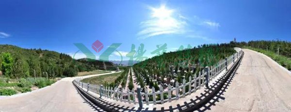 美高梅集团4688am(唯一)有限公司官网