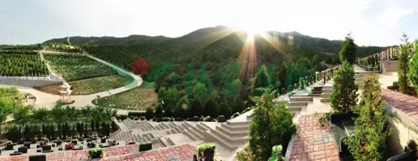 美高梅集团4688am(唯一)有限公司官网