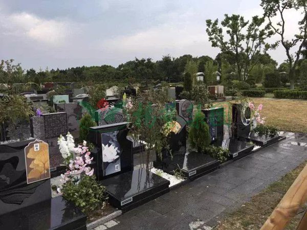 美高梅集团4688am(唯一)有限公司官网