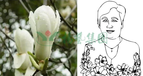 美高梅集团4688am(唯一)有限公司官网