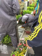 【美高梅集团4688am人别样清明】2018年清明落葬事情圆满完成