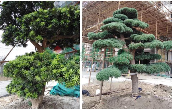 美高梅集团4688am(唯一)有限公司官网