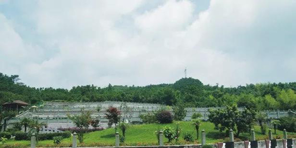 美高梅集团4688am(唯一)有限公司官网