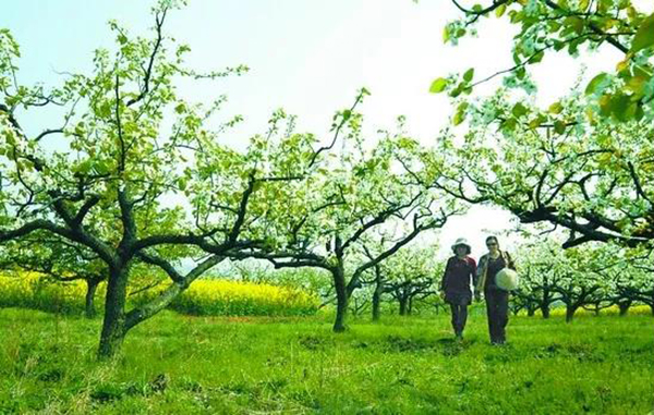 美高梅集团4688am(唯一)有限公司官网