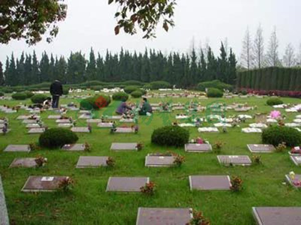 美高梅集团4688am(唯一)有限公司官网