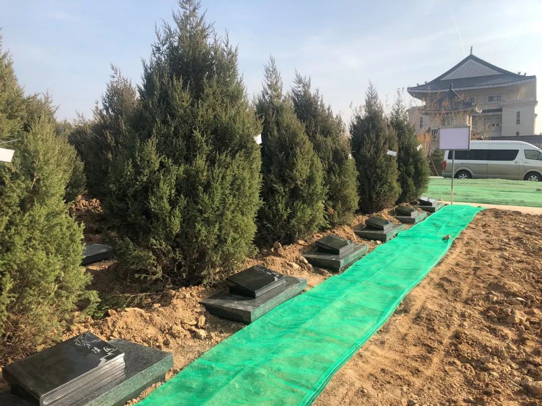 美高梅集团4688am(唯一)有限公司官网