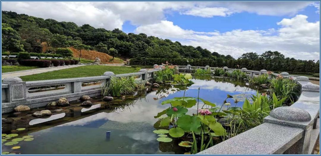 美高梅集团4688am(唯一)有限公司官网