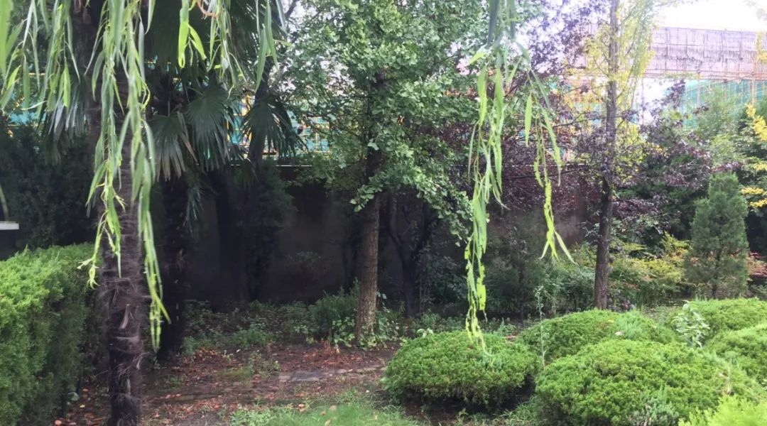 美高梅集团4688am(唯一)有限公司官网