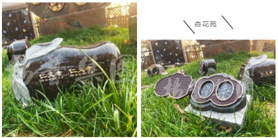 美高梅集团4688am(唯一)有限公司官网