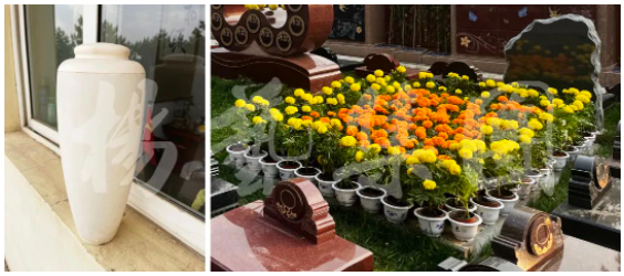 美高梅集团4688am(唯一)有限公司官网