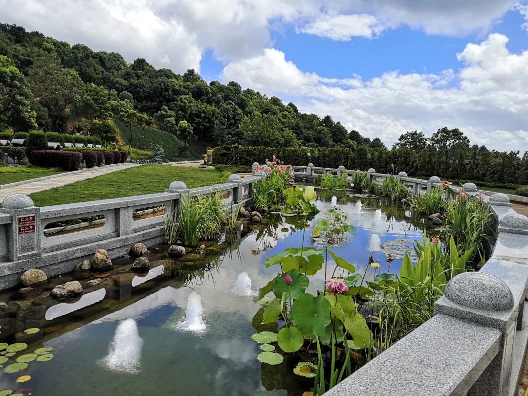 美高梅集团4688am(唯一)有限公司官网