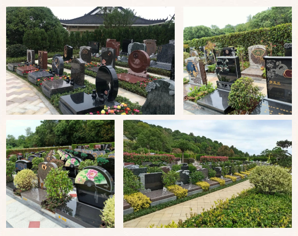 美高梅集团4688am(唯一)有限公司官网