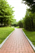 美高梅集团4688am道板砖为您打造清静宜人的步行情形