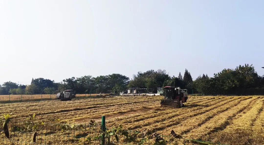 美高梅集团4688am(唯一)有限公司官网