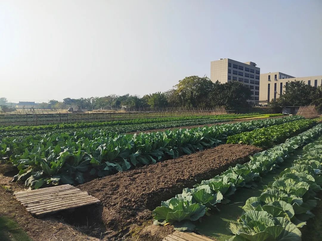 美高梅集团4688am(唯一)有限公司官网