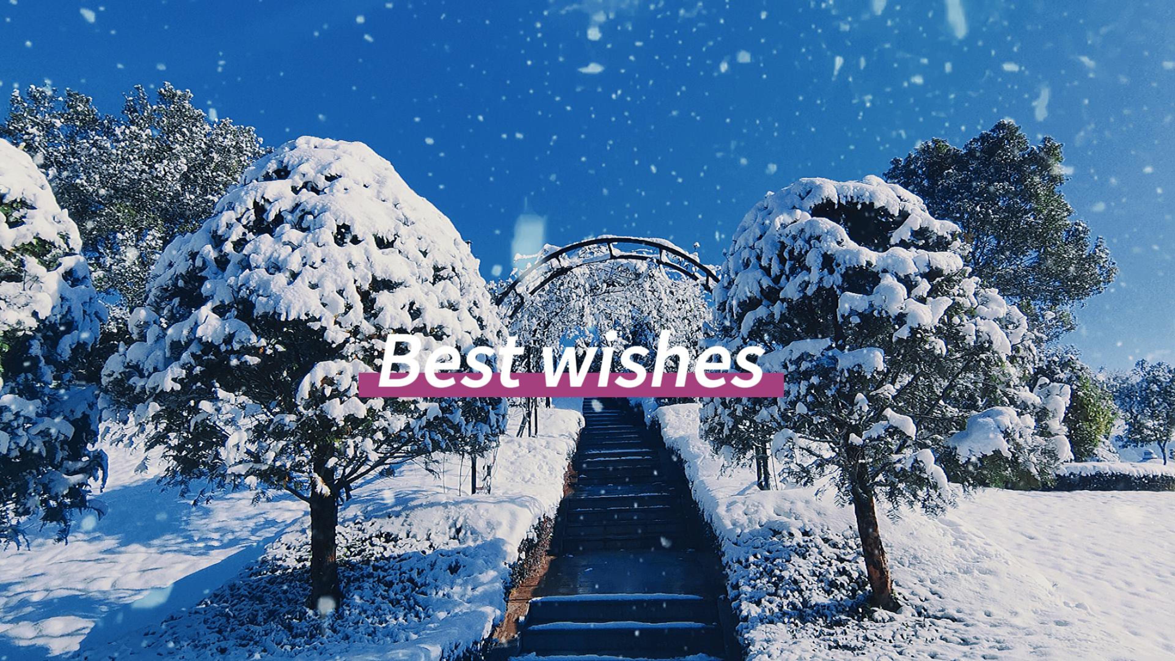 美高梅集团4688am(唯一)有限公司官网