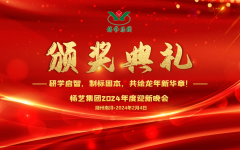 2024年美高梅集团4688am集团迎新春年会暨颁奖仪式盛放纵行