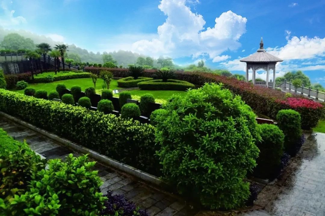 美高梅集团4688am(唯一)有限公司官网