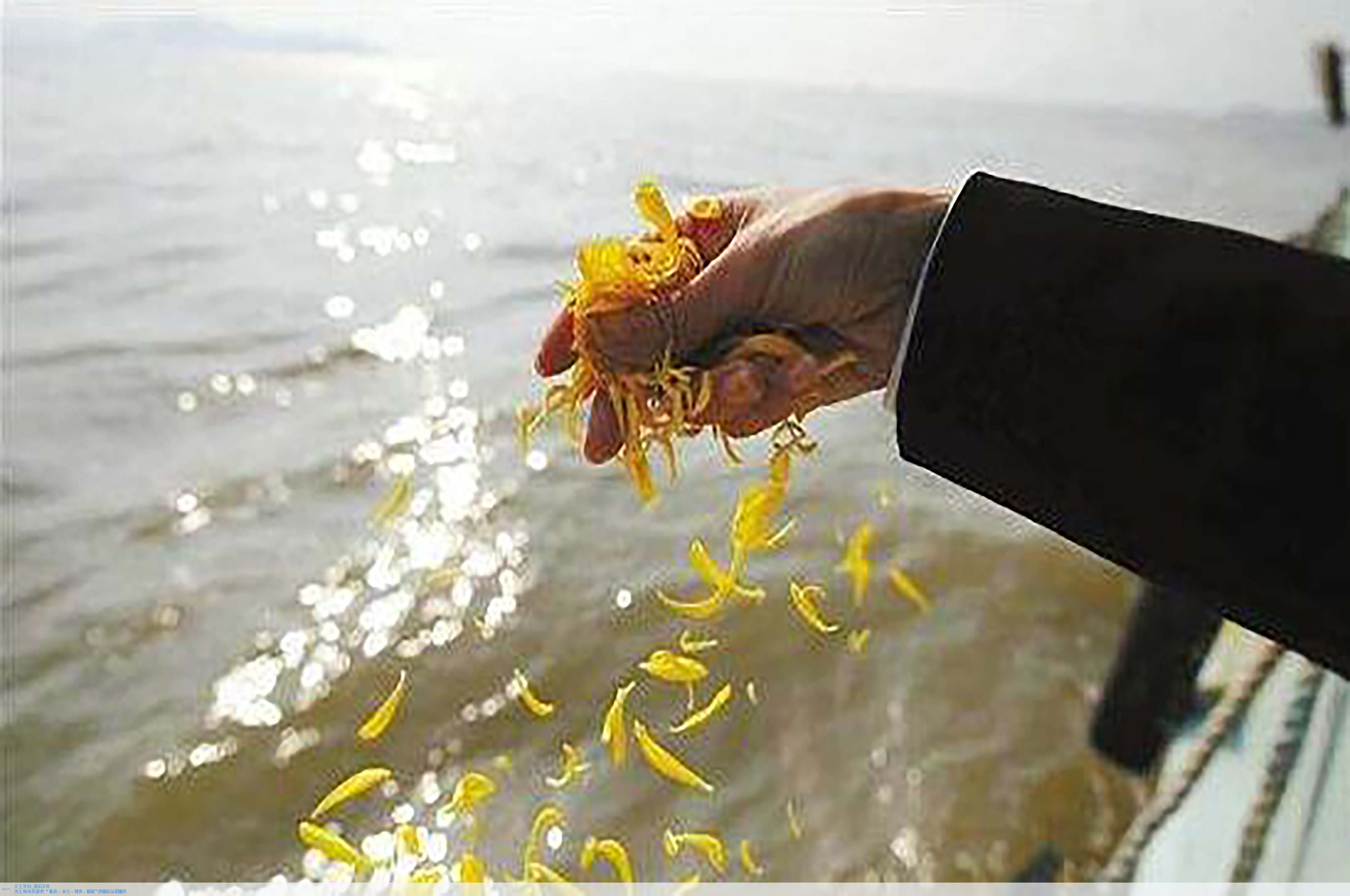 美高梅集团4688am(唯一)有限公司官网