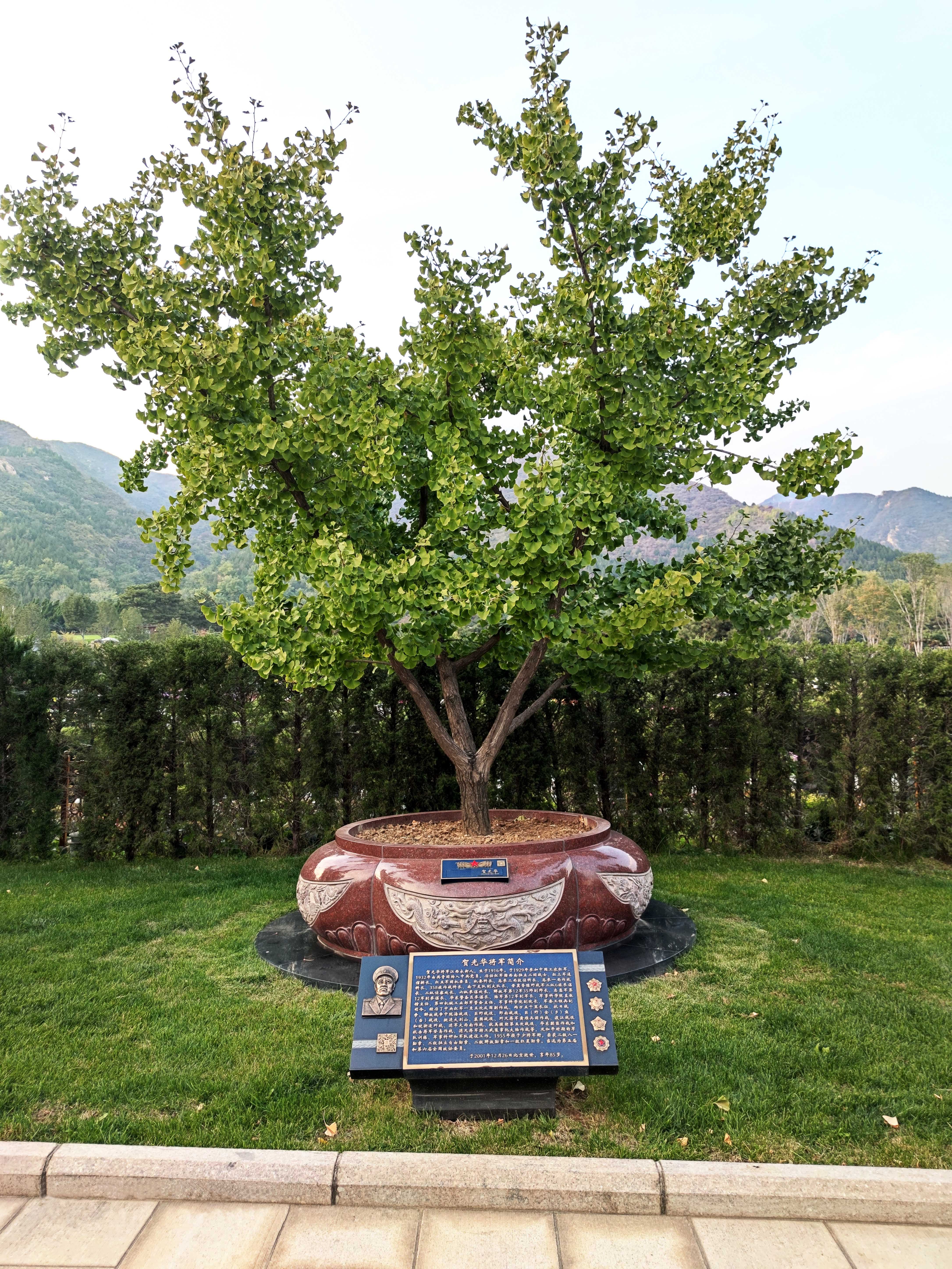 美高梅集团4688am(唯一)有限公司官网