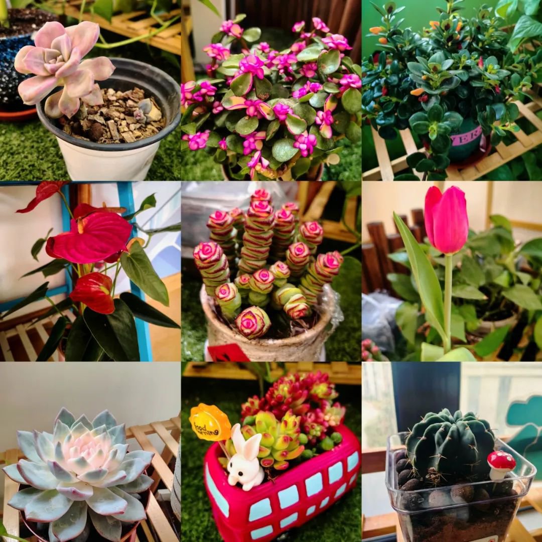 美高梅集团4688am(唯一)有限公司官网