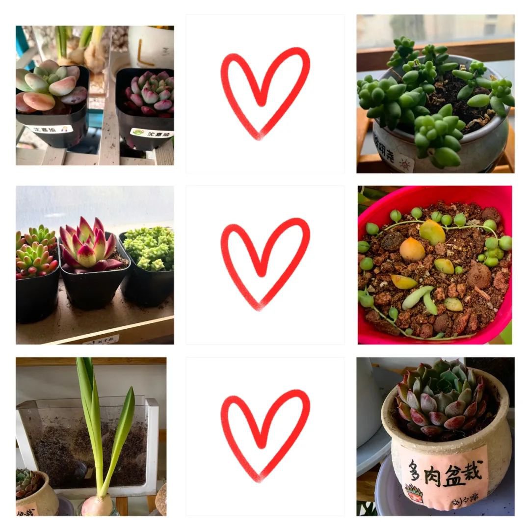 美高梅集团4688am(唯一)有限公司官网