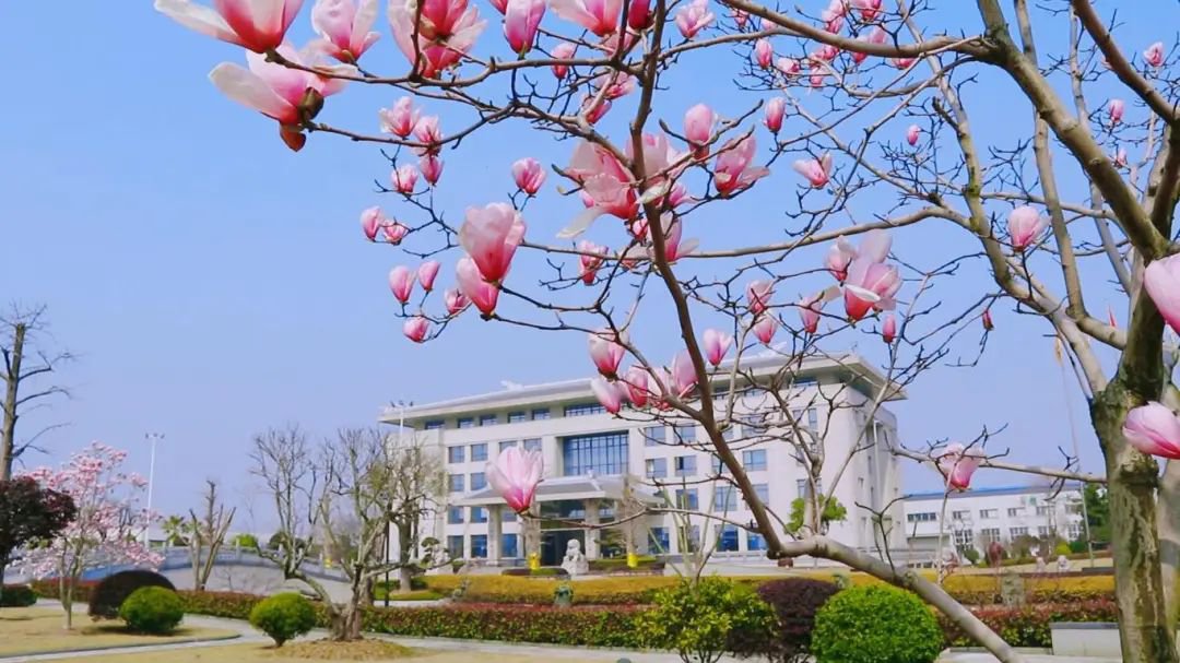 美高梅集团4688am(唯一)有限公司官网