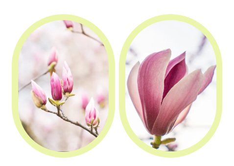 美高梅集团4688am(唯一)有限公司官网