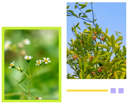 美高梅集团4688am(唯一)有限公司官网