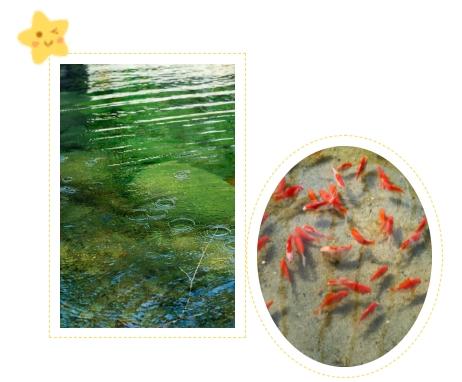 美高梅集团4688am(唯一)有限公司官网