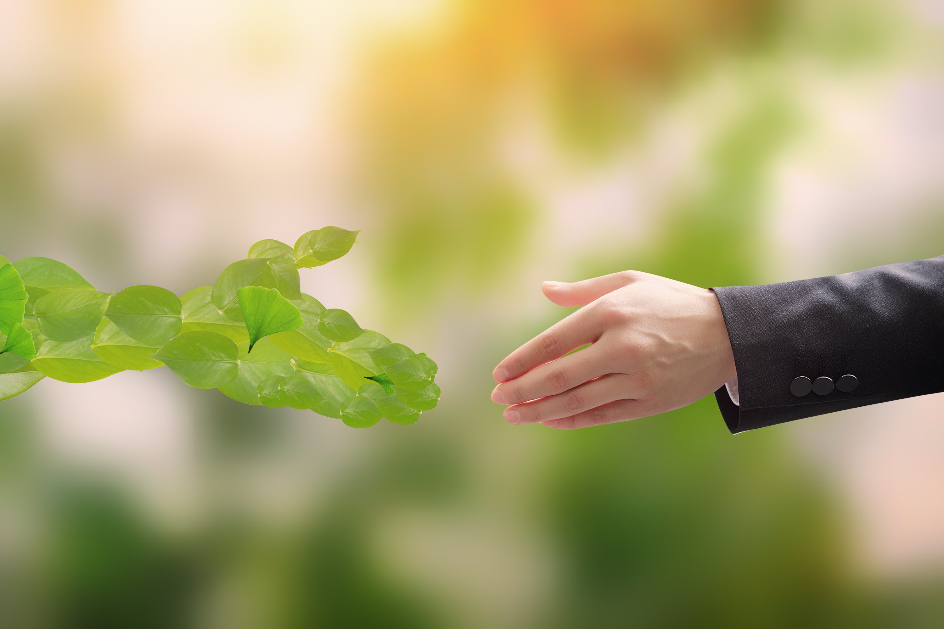 美高梅集团4688am(唯一)有限公司官网