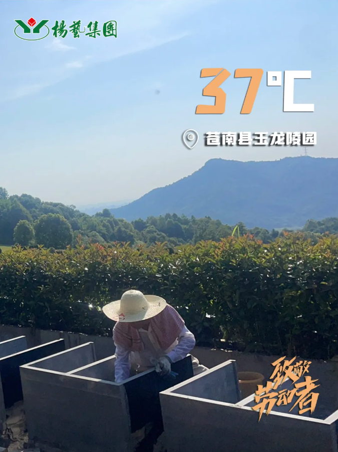 美高梅集团4688am(唯一)有限公司官网