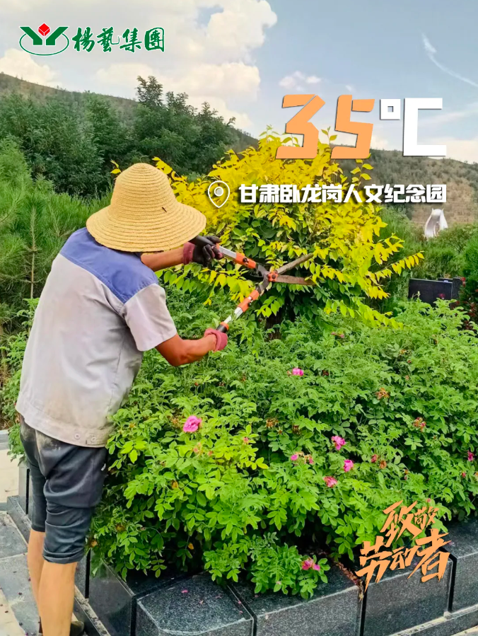 美高梅集团4688am(唯一)有限公司官网