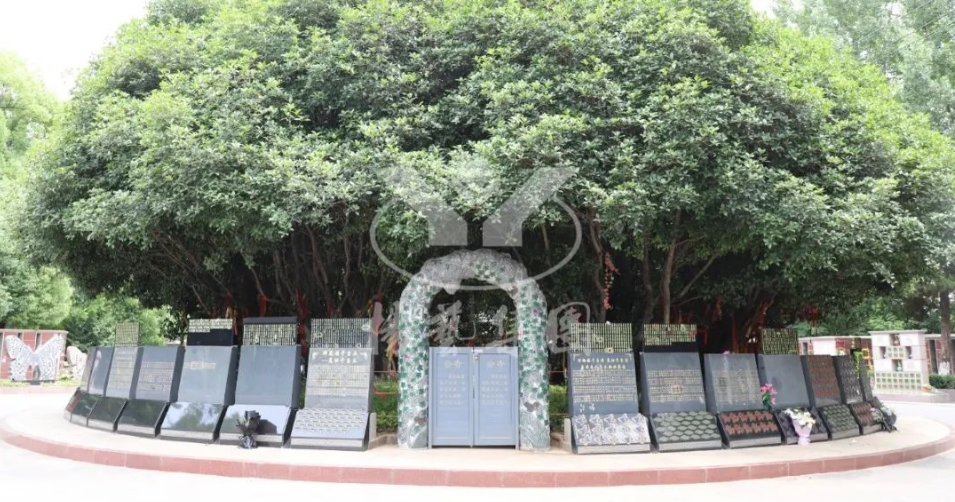 美高梅集团4688am(唯一)有限公司官网